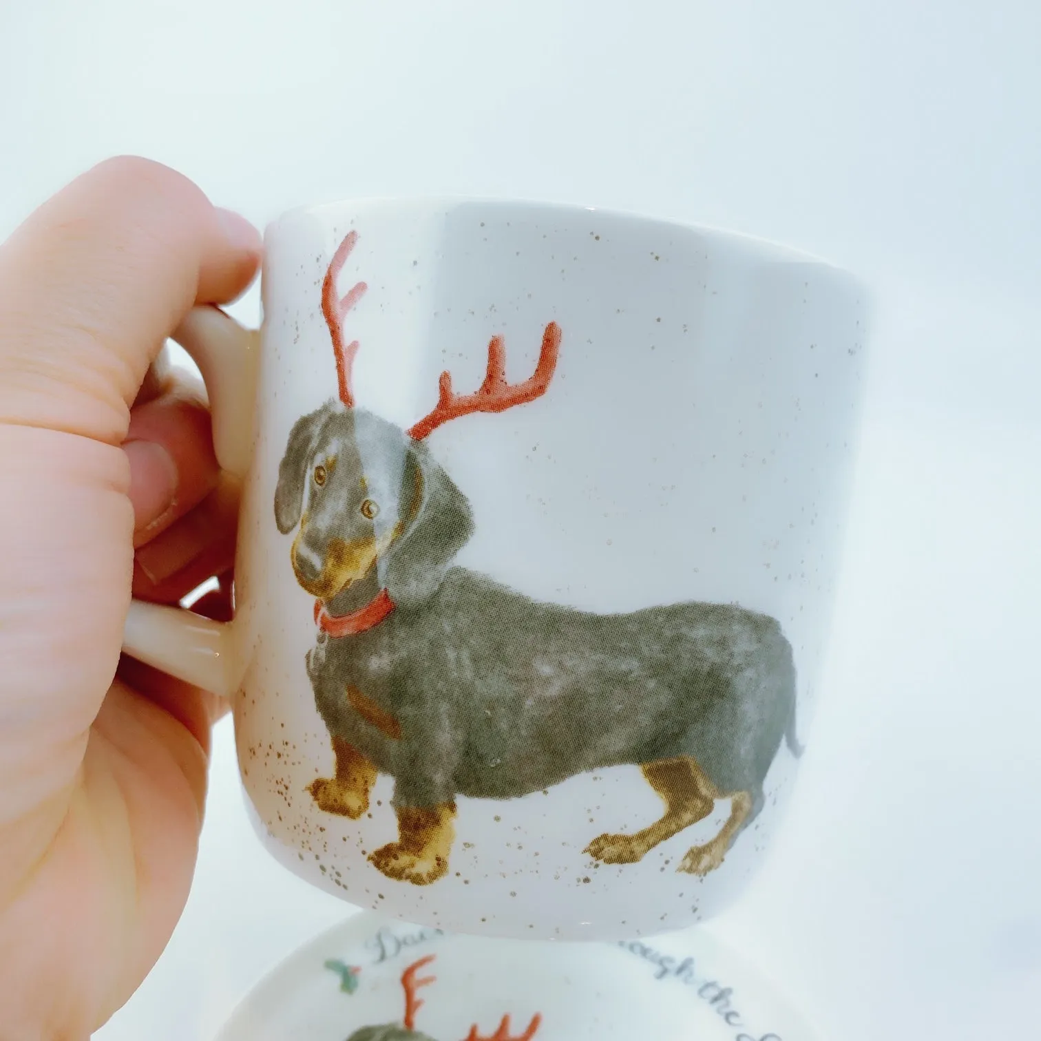 Royal Worcester Wrendale Designs Dachshund Through The Snow Mug & Coaster Set